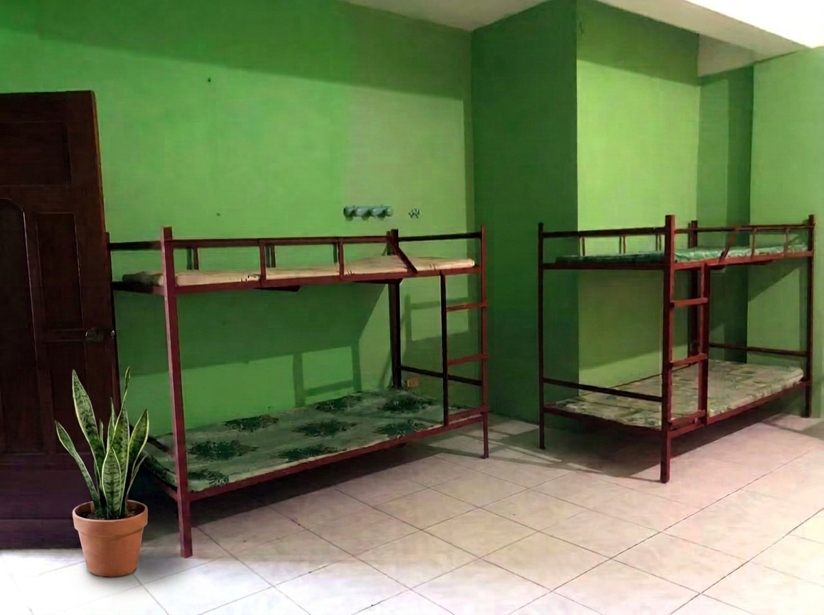 Two-bunk room for four spacers, with a potted snake plant in the corner.