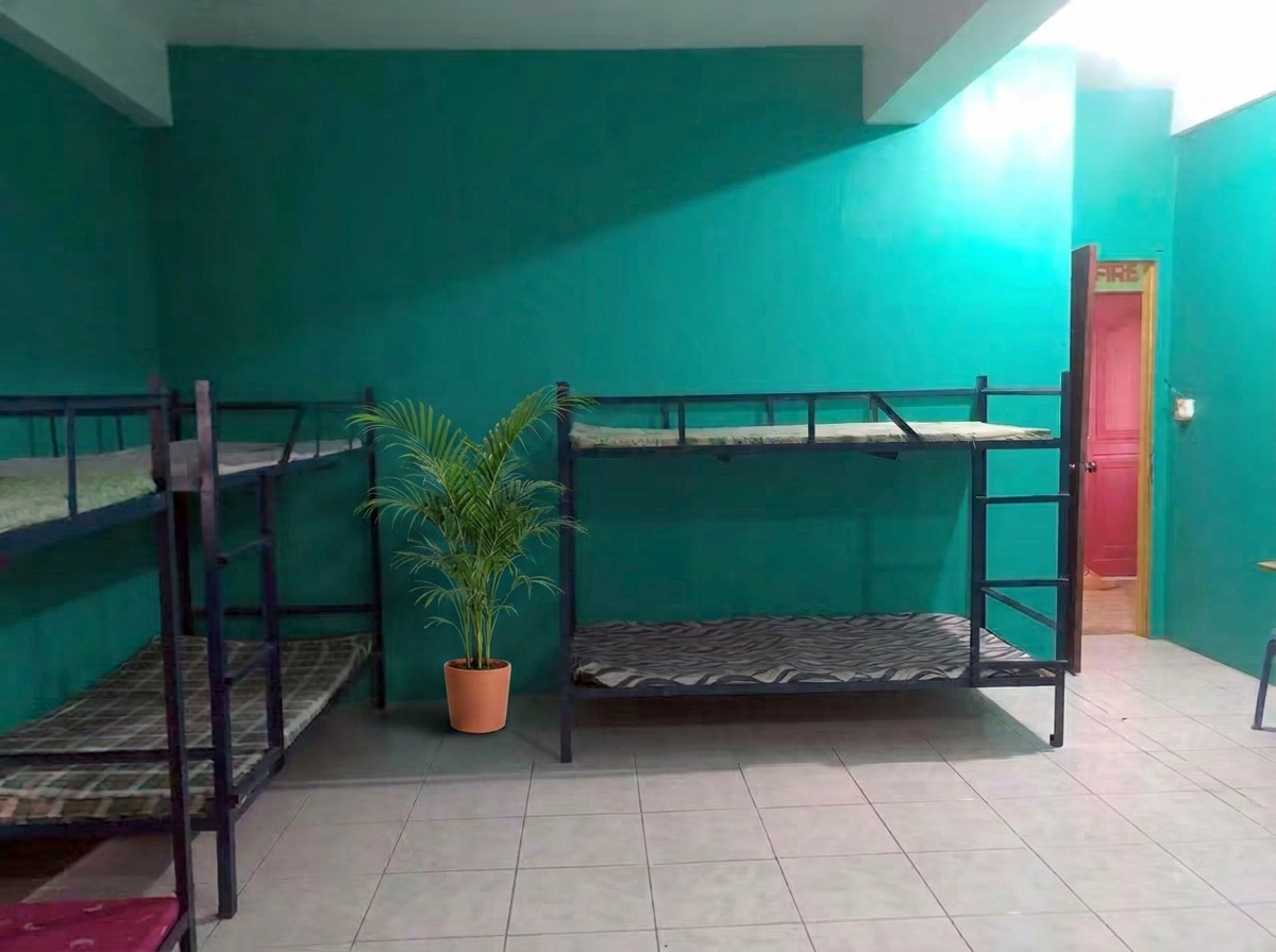 Bunk beds, tiled floors and a potted palm by the wall, easy to keep clean.
