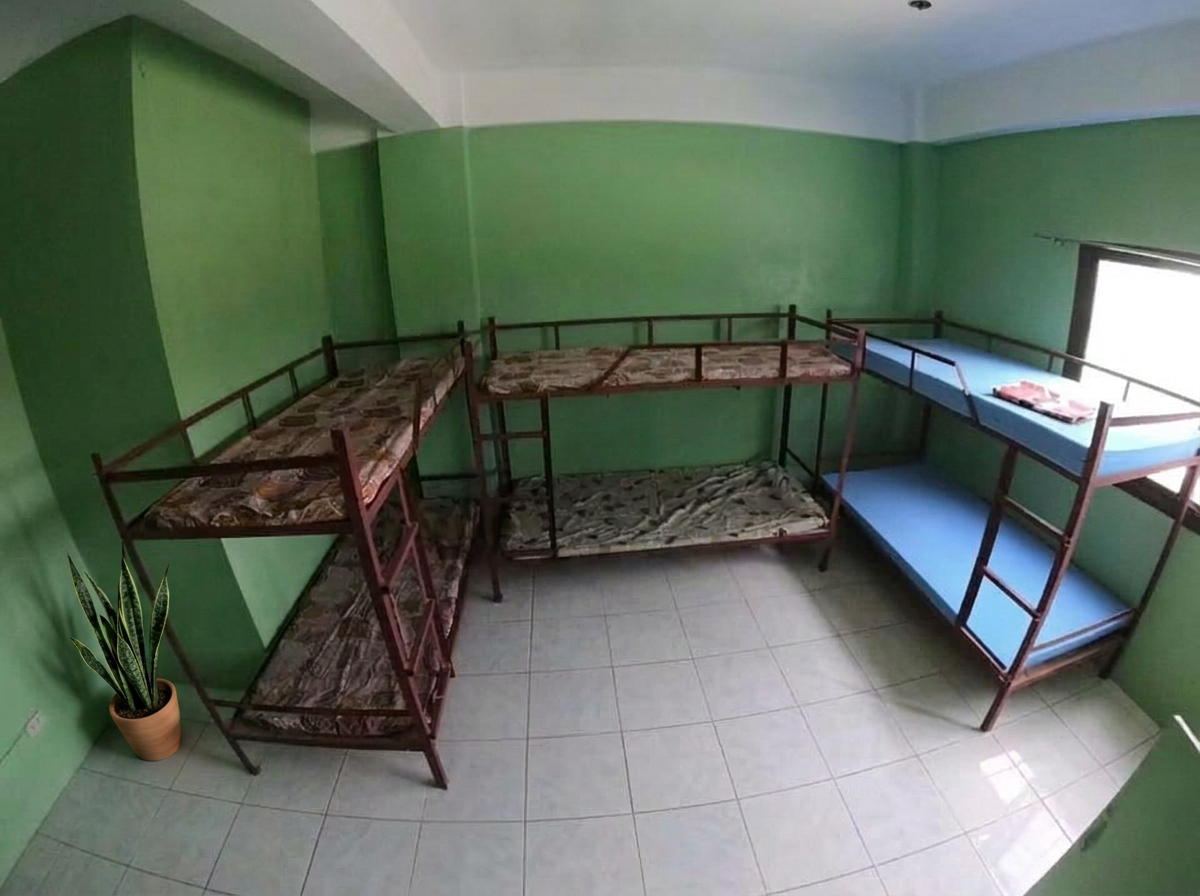 A shared bed spacer room set up for six, with a potted snake plant in the corner.